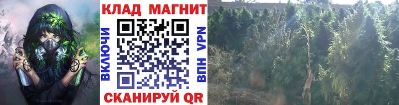 Наркошоп купить А ПВП  Меф мяу мяу  Псилоцибиновые грибы  Марихуана  Богородск