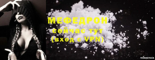 стаф Корсаков