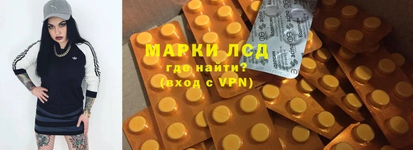 стаф Корсаков