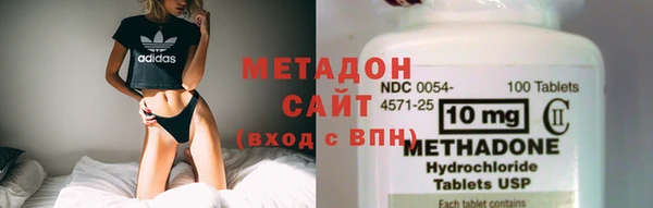 стаф Корсаков