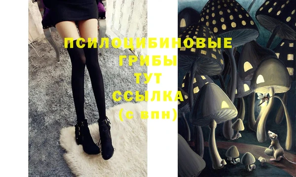 Альфа ПВП Коряжма
