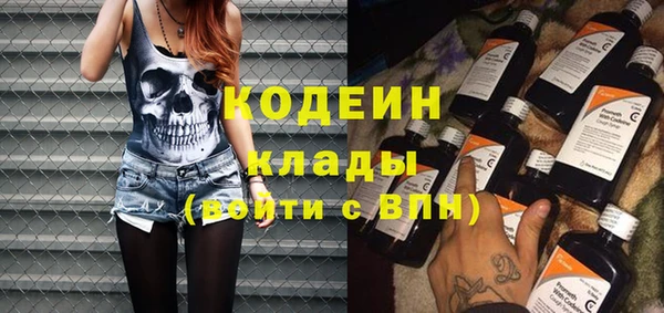 стаф Корсаков