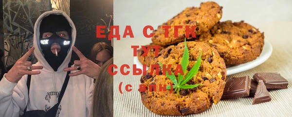 стаф Корсаков