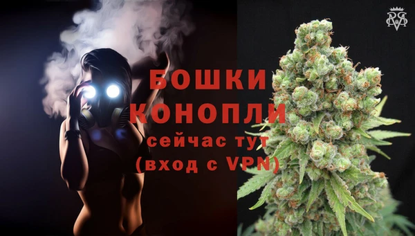 spice Костерёво
