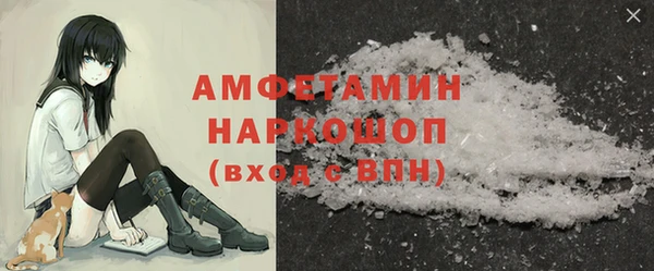 стаф Корсаков