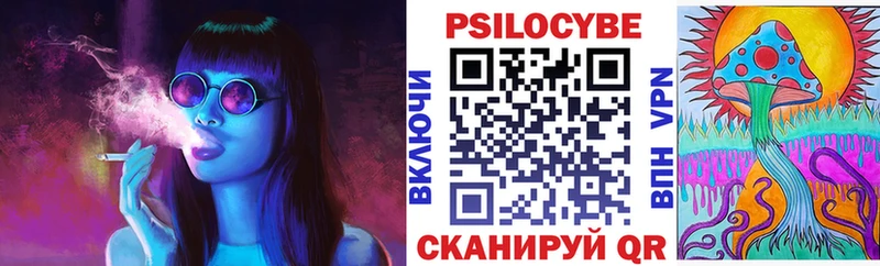 Галлюциногенные грибы Psilocybe  Купить  Богородск 
